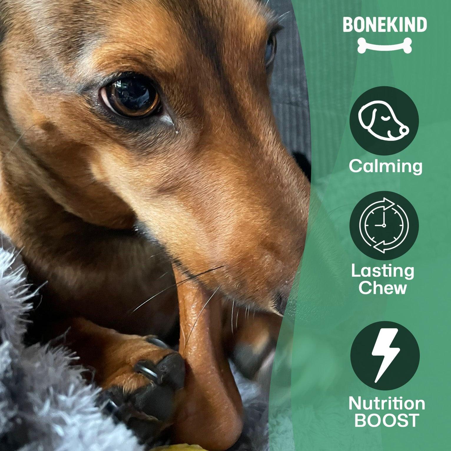 Enhance Vitality with Bonekind Natural Boost for Optimal Health and Wellness